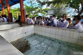 Ini permintaan Wako Pariaman pada Menteri KP terkait pengelolaan konservasi penyu