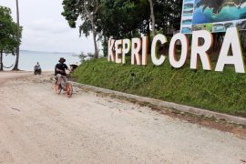 Bulan ini kunjungan Wisman ke Kepri turun 42,06
