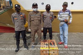 Karantina Pertanian Ternate tolak unggas dewasa. Begini penjelaannya