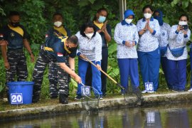 Lantamal VIII sebar ribuan benih ikan dukung ketahanan pangan