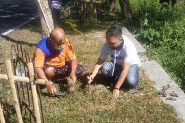 ASN Bone Bolango tanam pohon peringati Hari Lingkungan Hidup