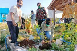 Peringati Hari Lingkungan Hidup, Pemuda Muhammadiyah Jatim serentak tanam ribuan pohon