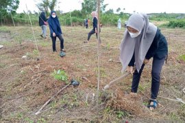 Sinergi Lintas Generasi di Hari Lingkungan Hidup, Tanah Laut