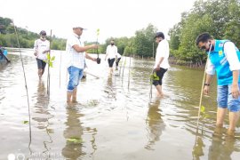 Ini bantuan PLN UIW Aceh di wilayah pesisir