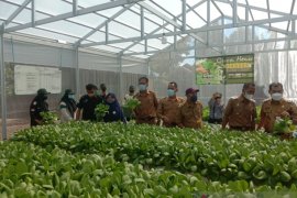Menciptakan petani milenial sejak sekolah