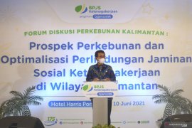 Kepesertaan di BPJS Ketenagakerjaan sejalan ISPO