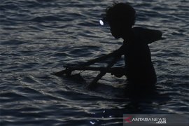 Nelayan Udang Kecil di Palu Page 1 Small