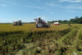 Pemkab Karawang salurkan bantuan alsintan dari Kementan ke puluhan kelompok tani