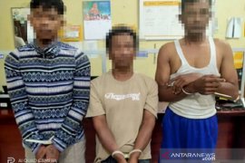 Tiga pelaku pencuri sapi ditangkap Satreskrim Polres Pasbar