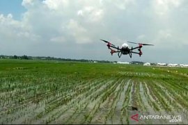 DKPP Probolinggo gunakan drone untuk semprot hama dan penyakit tanaman