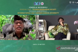 Ini pandangan Empat Guru Besar IPB terkait keanekaragaman hayati
