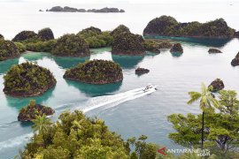 Telaah -- Awaiting endgame for Papua, West Papua's lingering problems