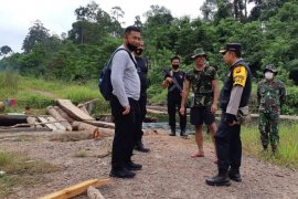 Tim gabungan disiagakan di pos pengawasan ilegal logging Kunpeh