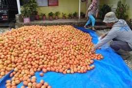 Dinas Pangan prioritaskan mutu produk pangan segar asal tumbuhan