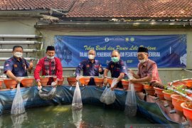 BI Bali dukung budidaya lele dan usaha roti oleh pesantren di Jembrana