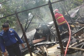 Kebakaran kembali landa Kampar