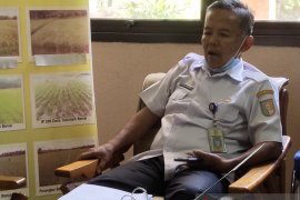 Petani Kuansing bakal terima mesin pompa air gratis, ini syaratnya