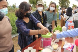 Mahasiswa Unud fasilitasi pemasaran olahan pangan lokal Bali