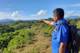 Apkasindo : Replanting di Aceh Jaya belum berjalan maksimal