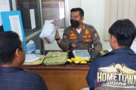Satpol PP Belitung amankan 2,4 kilogram bubuk kratom milik oknum pelajar