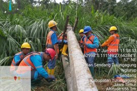 Ribuan rumah di lereng Wilis Tulungagung tidak teraliri listrik akibat longsor