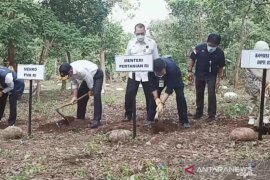 Menko PMK bersama Mentan dan Gubernur Jatim panen porang di Madiun