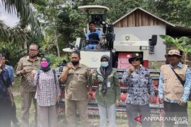 DPTPH Kaltim beri bantuan benih padi kelompok tani Kukar