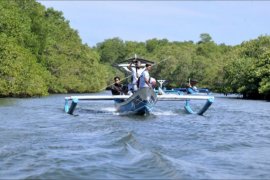 Edukasi dan ekowisata hutan bakau Kedonganan