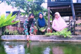 Satgas TMMD Polman dorong peningkatkan produktivitas ikan air tawar