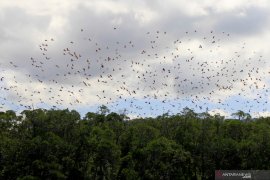 TWA Menipo dinilai bisa menjadi model pengembangan taman wisata alam