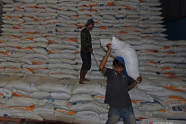 Mendag: Stok beras cukup, tak ada impor