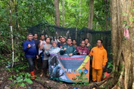 150 satwa endemik dilepasliarkan di Kepulauan Aru