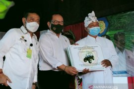 Mentan dorong petani Bali tingkatkan hasil produksi dan kualitas beras