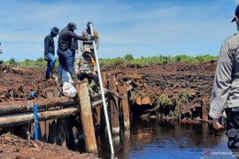 Cara Jambi cegah bencana Karhutla