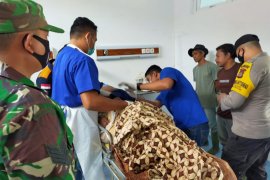 Petani ditemukan meninggal saat tanam bibit sawit di Aceh Timur