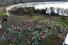 Hari Yoga internasional