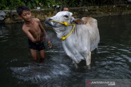 ANAK PUTUS SEKOLAH MENINGKAT KARENA PANDEMI Page 2 Small