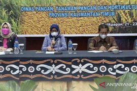 DPTPH Provinsi Kaltim kembangkan padi varietas unggul