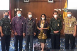 Staf Ahli Gubernur kunjungi Denpasar terkait pameran obat tradisional