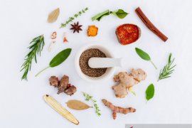 BPOM sebut obat herbal untuk terapi tambahan pasien COVID-19 masih diteliti