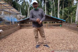 Ekspor perkebunan Kepulauan Meranti ke Malaysia meningkat