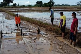 Petani di Kusan Tengah perlu banyak bantuan