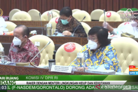 Komisi IV DPR dukung program KLHK tangani limbah alat medis COVID-19