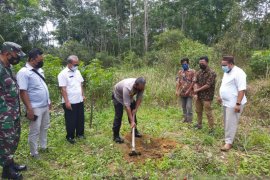 PT Timah Melalui Yayasan Tin Peduli Bagikan 3000 Bibit Durian Namlung Untuk Warga Belo Laut