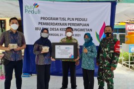 PLN berikan pelatihan kepada warga Grati-Kalanganyar