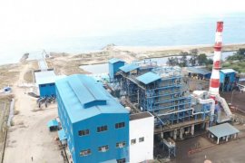 Program subtitusi biomassa tingkatkan bauran EBT