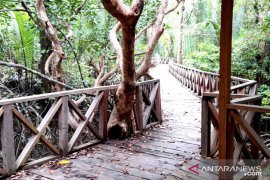 Pesona wisata eks pemukiman transmigrasi di tengah rimba