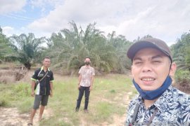 Dapat modal dari BRI, Asep awalnya petani kini jadi pengusaha Sawit