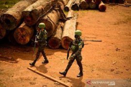 Ribuan pegawai pemberantas pembalakan liar Brazil tuntut kenaikan upah