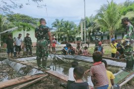 Satgas TNI ajarkan budidaya ikan lele